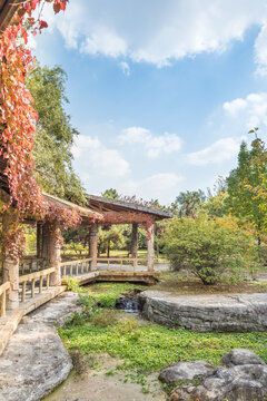 秋天中国辽宁沈阳鸟岛风景