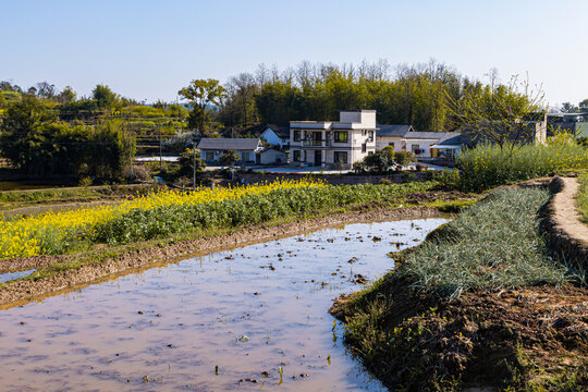 田园风光