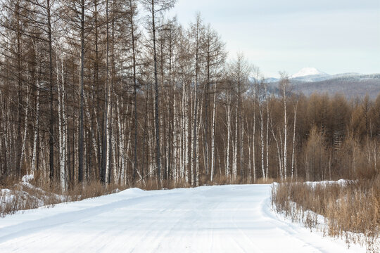 冬季积雪公路森林