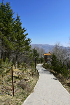 二郎山早春