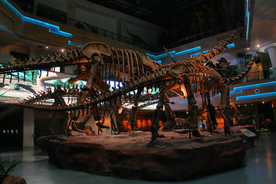 恐龙长颈龙骨骼化石