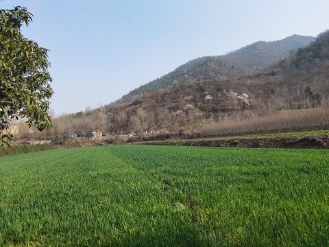 乡村美景