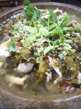 酸菜鱼