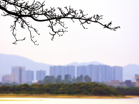 城市风景