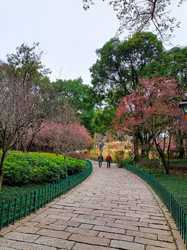 福州乌山风景区