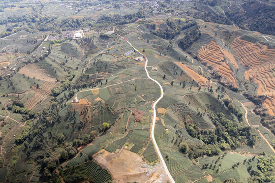 四川雅安蒙顶山牛碾坪茶山