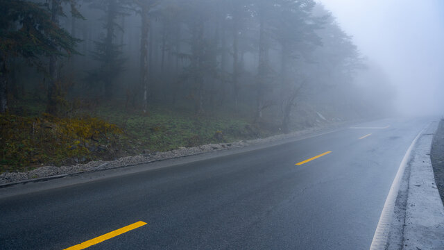 迷雾中的公路