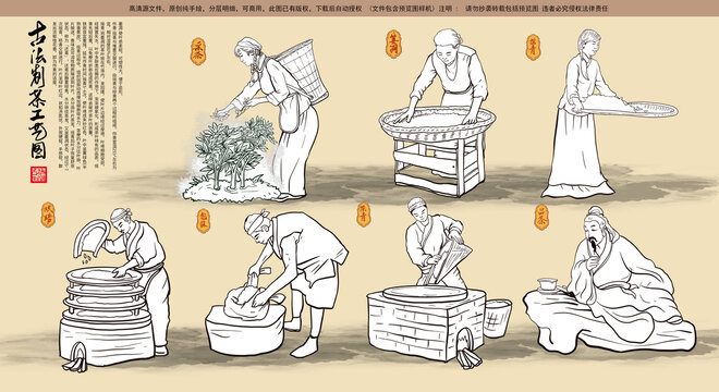 古法青茶工艺流程图