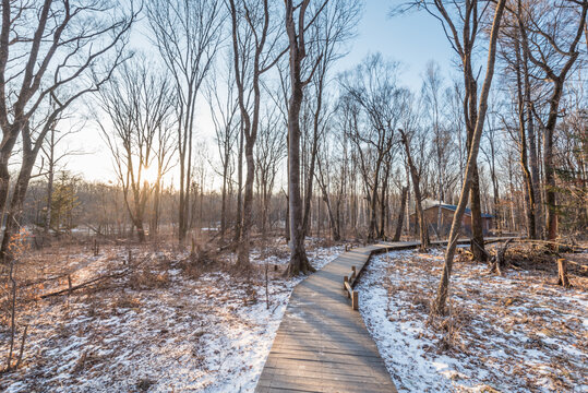 冬季长白山的雪地树林栈道