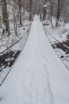 冬季长白山的雪地树林冰河