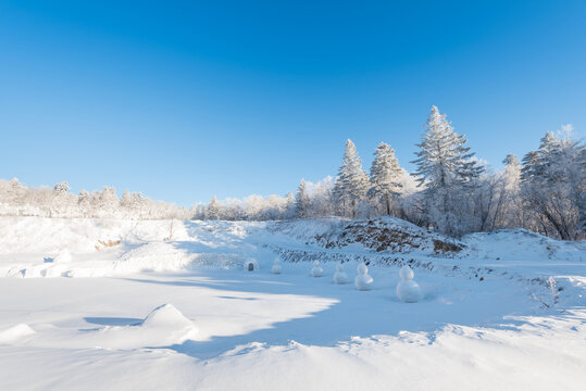 冬季长白山的雪地和雾凇