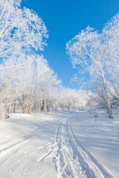 冬季长白山的雪地和雾凇