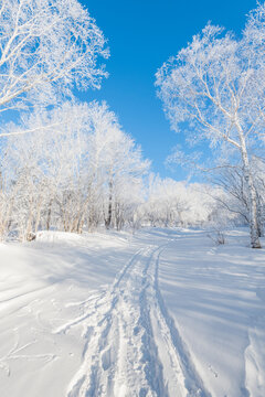 冬季长白山的雪地和雾凇