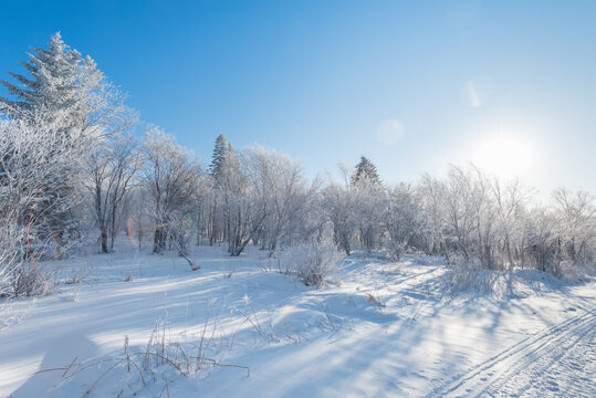 冬季长白山的雪地和雾凇