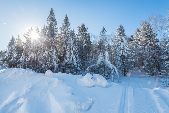 冬季长白山的雪地和雾凇