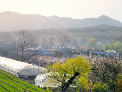 炊烟缭绕小山村