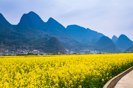 油菜花田园风景