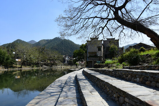 乡村风景