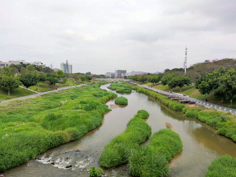 沼泽湿地