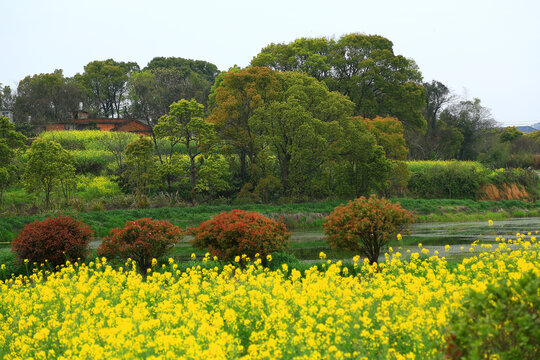 田园风景画