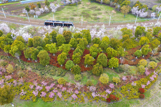 苏州市树山村有轨电车