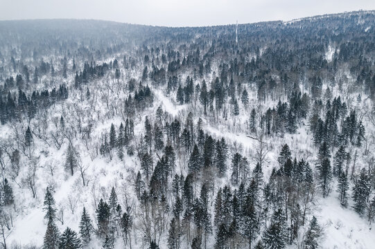 东北林海雪原森林航拍