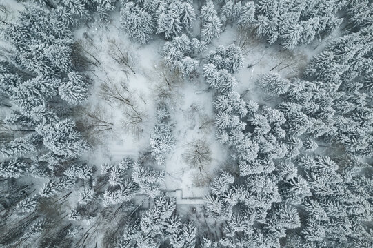 东北林海雪原森林航拍