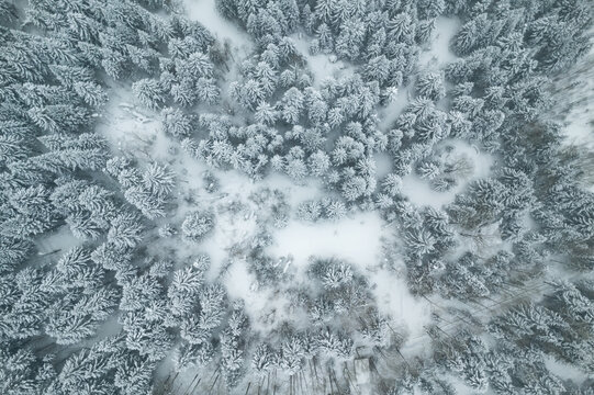 东北林海雪原森林航拍