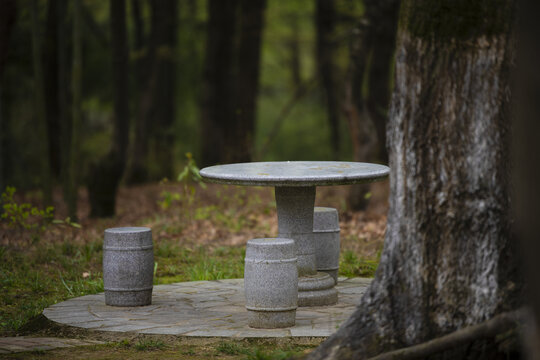 林中的石桌和石凳