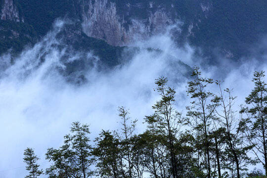 山间云雾