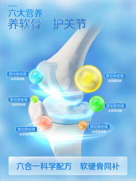 养护膝盖骨关节密度氨糖海报