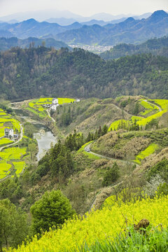 歙县石潭村油菜花