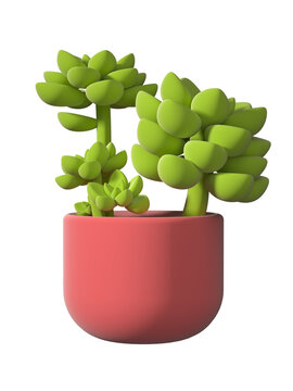 免抠3D粉色盆子多肉植物盆栽