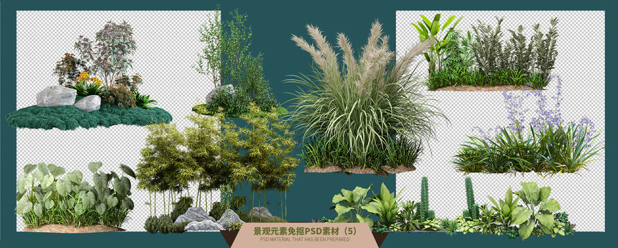 8种绿色草本植物园林景观