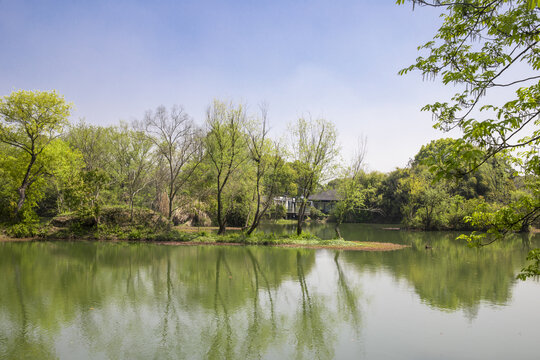 杭州西溪湿地