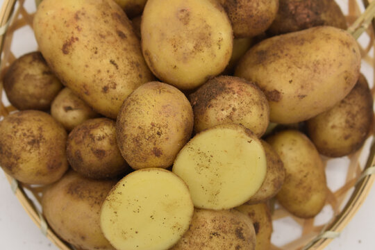 湿土豆