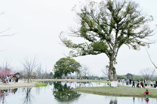 良渚遗址公园