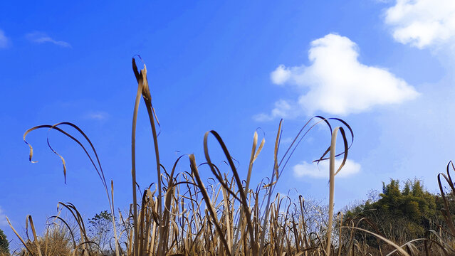 天空