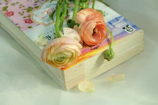 花和书
