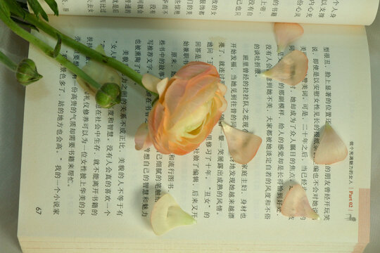 花与书
