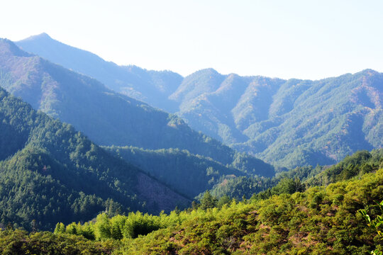 茶山