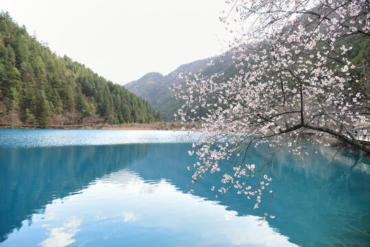 九寨沟老虎海