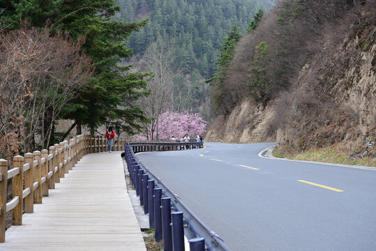 九寨沟风光