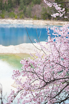 九寨沟火花海