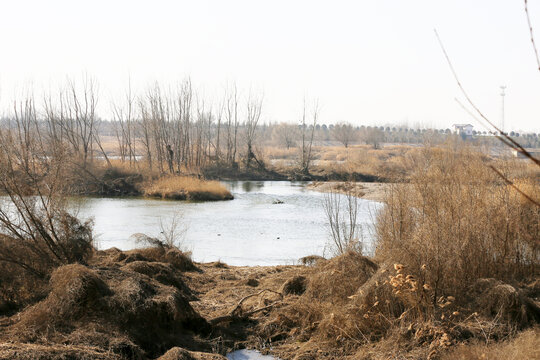 洛河岸边风光