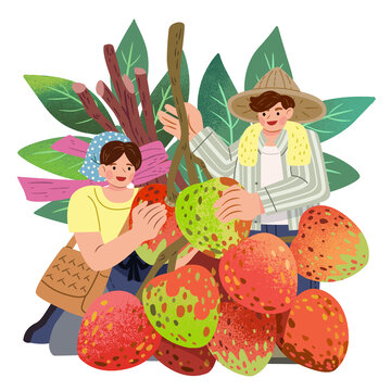 水果与人物 男孩与荔枝手绘插图