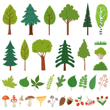 自然森林树叶果实矢量插画素材