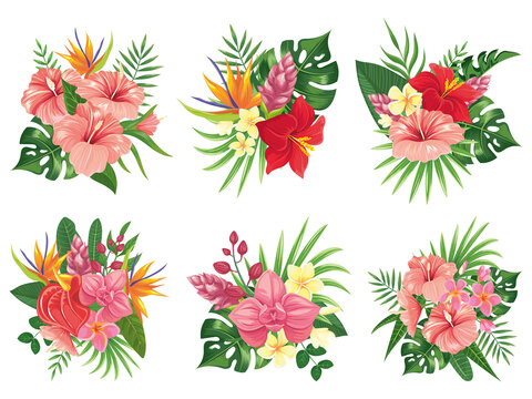 夏季热带花卉植物矢量插图素材