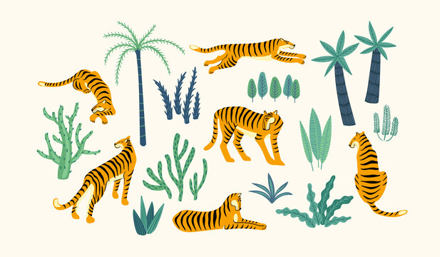 不同姿态的老虎与热带植物 平面插图