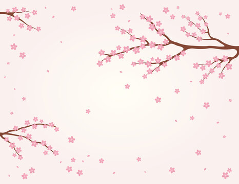 春天树枝上的樱花飘落 平面插图横幅